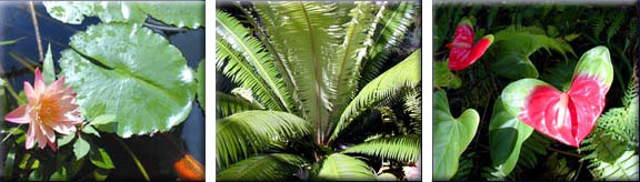 Hana Maui Hana Gardenland Vacations