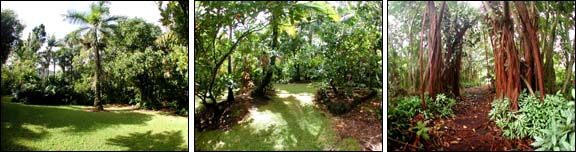 Garden Walkways