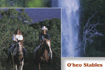 O'heo Stables
