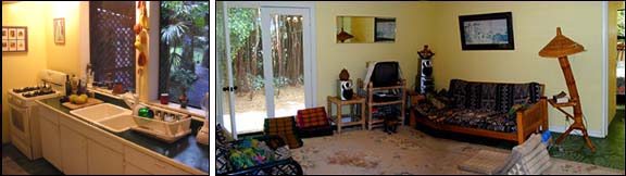 Palms House Kitchen & Living Room