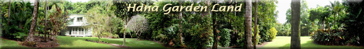 Hana Gardenland Hana Maui Hawaii - Vacation - Hana Palms Retreat