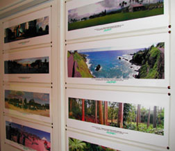 Panoramic Landscapes