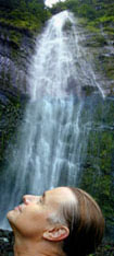 Waimoku Falls